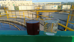 淬炼：一名焦化废水处理新兵的成长之路